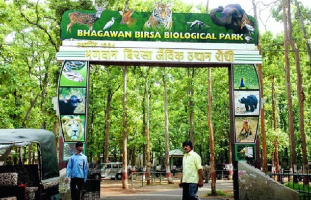 Bhagwan Birsa Biological Park, Ranchi, Jharkhand - Vushii.com Bhagwan Birsa Biological Park, Ranchi, Jharkhand - Vushii.com